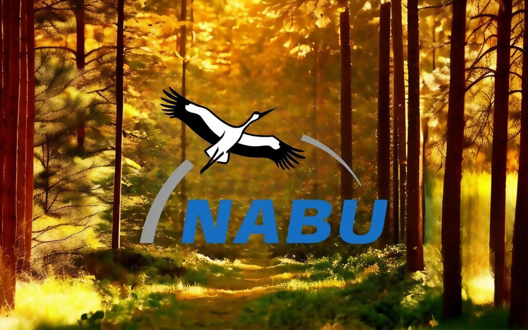 NABU-Logo mit Wald im Hintergrund